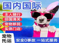 甘孜格萨尔机场托运国际宠物托运 【国